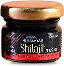 Ambica Himalayan Shilajit/Shilajeet Resin 20g - For Endurance and Stamina I Purest and Filtered Resin Form