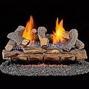 Duluth Forge DLS-24R-1 Dual Fuel Ventless Fireplace Logs Set with Remote Control, Use with Natural Gas or Liquid Propane, 33000 BTU, Berkshire Split Oak, 24 Inches