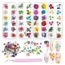 12 Colors Dried Flower 3D Nail Art Decor Natural Dry Flowers Nail Art Manicure