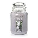 Yankee Candle Silver Birch Scented, Classic 22oz Large Jar Single Wick Aromatherapy Candle, Over 110 Hours of Burn Time, Apothecary Jar Fall Candle, Autumn Candle Scented for Home