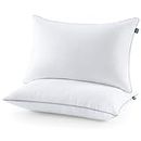 BedStory Lot de 2 oreillers hypoallergéniques en Tissu brossé pour Les Personnes Dormant sur Le Dos, Le Ventre ou Le côté (42 x 70 cm)