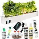 Lano AgriTech 11 Plant Hydroponic Kit for Smart Home & Smart Kids - Indoor Plant Garden Growing System with TDS Meter, Nutrients, Seeds & All Essentials, Learn hydroponics The Easy Way