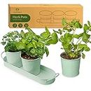 Herb Planter Indoor | Grow Fresh Herbs At Home | Herb Pots for Kitchen & Windowsill | Kitchen Herb Garden | Indoor Herb Planter | Includes Drain Hole | Garden Pots for Basil, Mint, Parsley and More