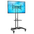 North Bayou Height Adjustable Trolley for TV Screen Size 40-65-Inch, Maximum Capacity 45.5Kg, Black