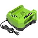 Greenworks PRO 80V Lithium Ion Single Port Rapid Battery Charger GCH8040