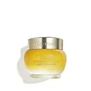 L’OCCITANE Immortelle Divine Firming Face Cream: Our # 1 Cream, Improve Wrinkles, Retinol Alternative, Smooth Skin, Target Age Spots, Daily Moisturizer for a Youthful Radiance, 1.7 Oz