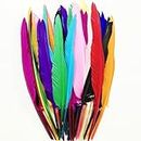 48pcs Colorful Goose Feathers for Crafts 10-12 Inch,12 Colors,Beautiful Colored Art Crafts Decorative Natural Feathers 26-31CM,for Wedding Dress and Party Decoration,DIY Fabricating Handicraft Article (Colorful)