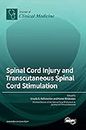 Spinal Cord Injury and Transcutaneous Spinal Cord Stimulation