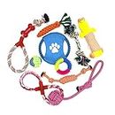 Wefine Dog Toys Puppy Chew Toys from 8 Weeks,Dog Rope Toys 100% Natural Cotton Rope for Small and Medium Dog (10 PCS)