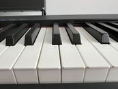 Casio CDP-S100BK 88 Weighted Key Digital Portable Piano 🎹