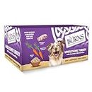 Burns Pet Nutrition Natural Wet Dog Food For Adult & Senior Dogs – Wholesome Turkey with Carrots and Brown Rice 12 x 150g