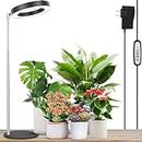 LORDEM Grow Light, LED Plant Light for Indoor Plants Growing, Full Spectrum Desk Growth Lamp with Automatic Timer for 4H/8H/12H, 4 Dimmable Levels, Height Adjustable 9.8"-30.6", Black