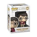 FUNKO POP! HARRY POTTER: Anniversary - Harry with The Stone