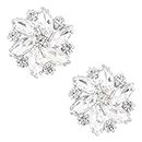 FINGERINSPIRE 2Pcs Crystal Shoe Clips Rhinestone Crystal Metal Shoe Clips Wedding Bridal Shoe Buckles Elegant Rhinestones Flower Clips for Jewelry Shoes Clothing Bags Hats Decor