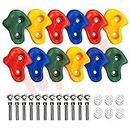 Toy Park Extra Large Rock Pack of 12 pc Climbing Holds/ Climbing Stone for DIY Children Playground Wall /Wood Block (Big Size) for Kids & Adults,Multi color