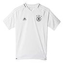 adidas Dfb Trg Jsy Y Camiseta Entrenamiento Federación Alemana de Fútbol, Niños, Blanco (Blanco / Negro), 164