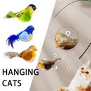 Bird Cat Feather Toy - Teaser Catnip Toy Touch Activated for Kitten 