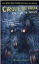 Cirque Du Freak #10: The Lake of Souls: Book 10 in the Saga of Darren Shan