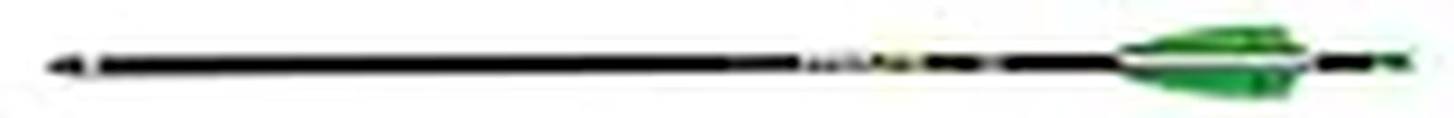 Wicked Ridge TenPoint Pro Lite Carbon Crossbow Arrows 20" .003", 6 Pack, Multi, One Size (HEA-460A.6)