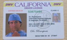 Fletch Movie Dr. Rosenpenis Drivers License - CA California Movie Prop