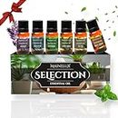 Set Aceites Esenciales para Humidificador MAINELUX SELECTION, 100% Natural Aromaterapia, 6 x 10 ml Essential Oils Set(lavanda,eucalipto,menta,limoncillo,árbol de té y naranja dulce).