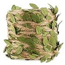 Pgyewhdf Artificial Leaves Garland - 20M - Rustic Foliage Liana Garden Artificial Foliage Decorations for Garden or Wedding