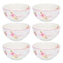 SET OF 6 Rose Garden Porcelain Cereal Bowls Floral Bone China Pialas 21 fl oz