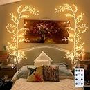 GOESWELL Vine Lights with Remote Control, Twig String Lights, White Birch Tree Branches Lighted Willow Tree Vine Fairy Lights, 5 Level Dimmable 144 LEDs for Walls Bedroom Christmas Decorations