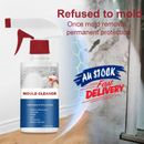 Mould Mold Cleaner Foam Powerful Mildew Cleaning Agent Furniture Removal Cleaner
