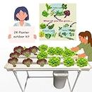 City Greens Hydroponics 24 Planter Outdoor Kit for Home, Garden, Small Balconies, Outdoor & Office Spaces - Smart Farming