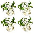 NUPTIO Hanging Planter Wall Terrarium: Glass Plant Holder 4 PCS Water Planting Vases Succulents Container Hydroponics Pots Clear Propagation Station Airplant Display for Office Home Living Room Gifts