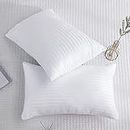 HFI UrbanArts Comfort Polyester Fiber Pillows - Pack of 2 Pcs, 16 x 24 Inches, 40 x 60 Cms, White