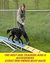 The Best Dog Behavior Training Accessories and Supplies Every Dog Owner Must Have