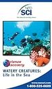 Neo/SCI 13-2771 Life Science DVD Series - Watery Creatures: Life in the Sea