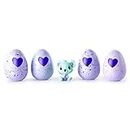Hatchimals | CollEGGtibles | Season 1 Exclusives | 4 Pack + Bonus (4 in-Egg and 1 Out-of-Egg Swanlings) | Styles May Vary | Ages 5+