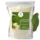 Nxtgen Ayurveda Guava Leaf Powder | 250 gm | Amrood Patti | Psidium Guajava | Koiya ilai | Health