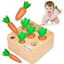 Aitbay Montessori Toys for 1 Year Old Toddlers, Carrots Harvest Shape Size Sorting Game Developmental Wooden Montessori Toys for Boys and Girls Age 1 Preschool Learning for 12-18 Month