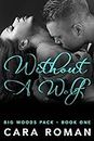 Without A Wolf: A Big Woods Pack Novel Book 1