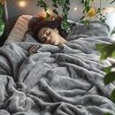 Bedsure Fleece Blanket Queen Size for Bed - Grey Queen Blanket Winter Fuzzy Cozy Soft Plush Warm Blankets for Bed, 90x90 inches