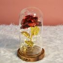 Galaxy Rose Flower gift LED light Beauty and the Beast rose Kit for Mom wife GF