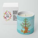 Caroline's Treasures Shih Poo #3 Christmas Tree 10 Oz Decorative Soy Candle Soy in Blue/Green | 3.75 H x 3.25 W x 3.25 D in | Wayfair CK3891CDL