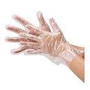 STAR SUNLITE Transparent Disposable Clear Plastic Hand Gloves for Home Kitchen, Restaurant Hotel and Out Pack of 500