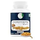 Cordyceps mushroom capsule (Cordy militaris) from Advaita Nutrition for Immunity, Strenght, Power,stamina of man and women Pack of 60 (500mg) Veg Capsules