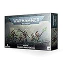 Games Workshop Warhammer 40K (40,000): Necrons - Triarch Praetorians