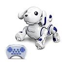 (Blue) - Hi-Tech Wireless Remote Controlled Robot Dog Interactive Robot Puppy for Kids, Children, Girls, Boys (Blue)