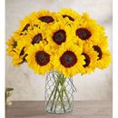 1-800-Flowers Flower Delivery Sunflowers W/ Ross - Simons Bee Necklace 20 Stems Of Sunflowers W/ Market Vase | Same Day Delivery Available | Happiness Delivered To Their Door