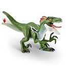 Robo Alive Dino Action Raptor by ZURU Dinosaur Toys, Real Biting Action, Lifelike Roars Sound, Battery-Powered Robotic Interactive Electronic Reptile Toy for Boys