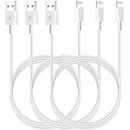 iPhone Charger 3ft Lightning Cable 3FT 3Packs Quick Charger Rapid Cord Apple MFi Certified for Apple Charger, iPhone 13 12 11 Pro X XR XS MAX 8 Plus 7 6s 5s 5c Air iPad Mini iPod (Grey)