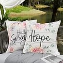 famibay Outdoor Pillows for Patio Furniture Spring Floral Outdoor Throw Pillows Waterproof Set of 2 Decorative Outdoor Patio Pillows(18x18, Covers Only)