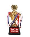 Teachers Day Gifts Best Teacher in The World Trophy Golden Award Best Teacher in The World-9.8 Inch